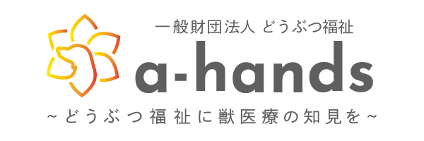 a-hands logo image